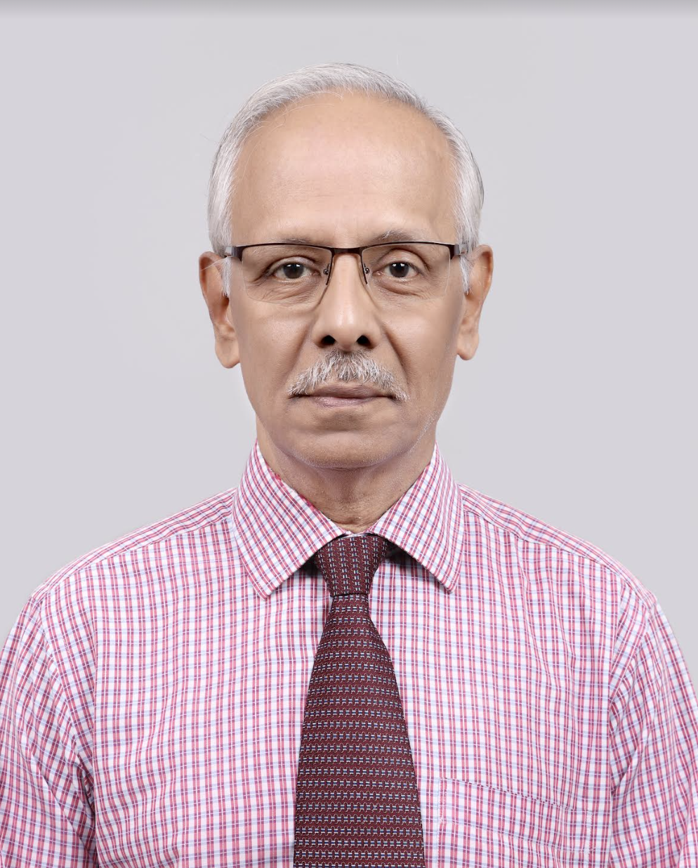 L. V. Srinivasan